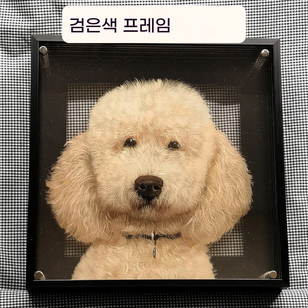 Eternal 3D Pet Portrait - Image 10