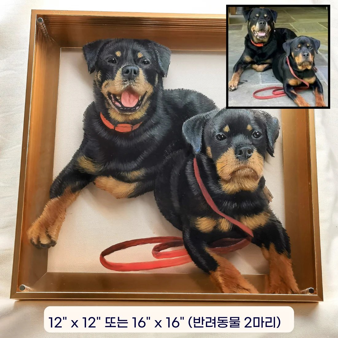 Eternal 3D Pet Portrait - Image 4